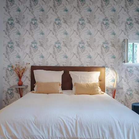 L'alcove Sainte-anne, Au Coeur Du Vieux Mans Apartman *