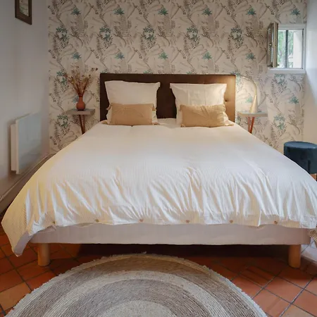 L'alcove Sainte-anne, Au Coeur Du Vieux Mans Apartman *